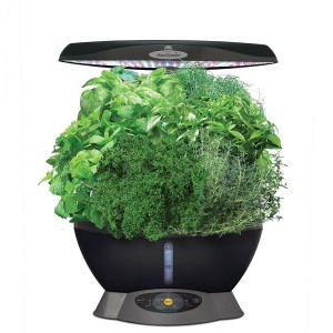 AeroGarden Classic Herb Seed Pod Kit