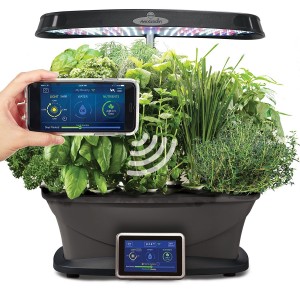 AeroGarden Wi-Fi Seed Pod Kit