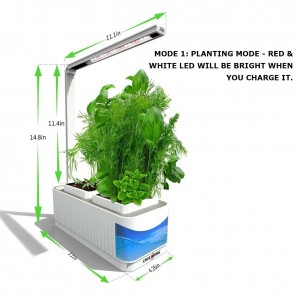 Herb Garden Kit