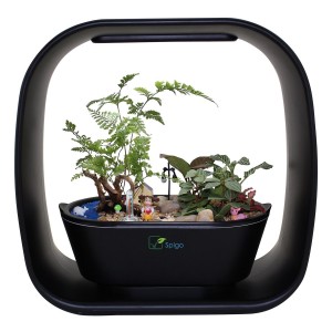 Intelligent Indoor Garden