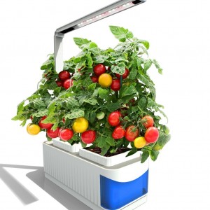 YOSTAR Hydroponics Growing System